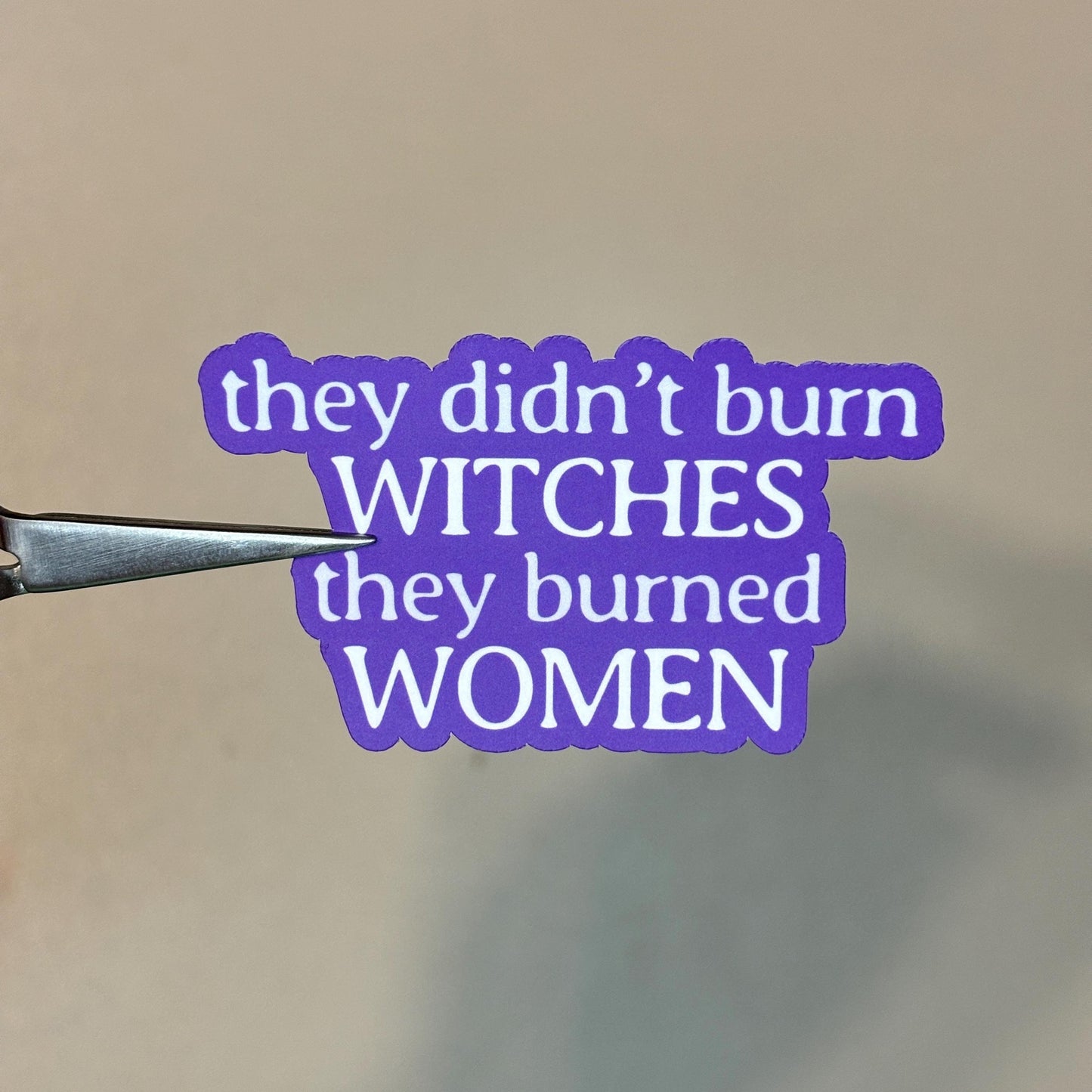 They Didn't Burn Witches Sticker